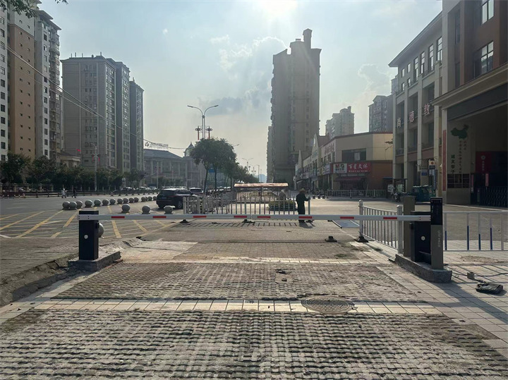 南昌县诚义学校-车牌识别+道闸+人行小门 